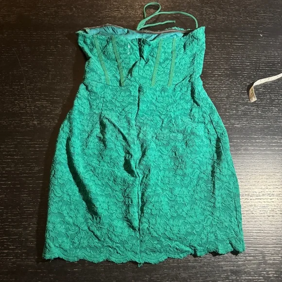 Hello Molly Stunning Lace Mini Dress - Picture 7 of 8